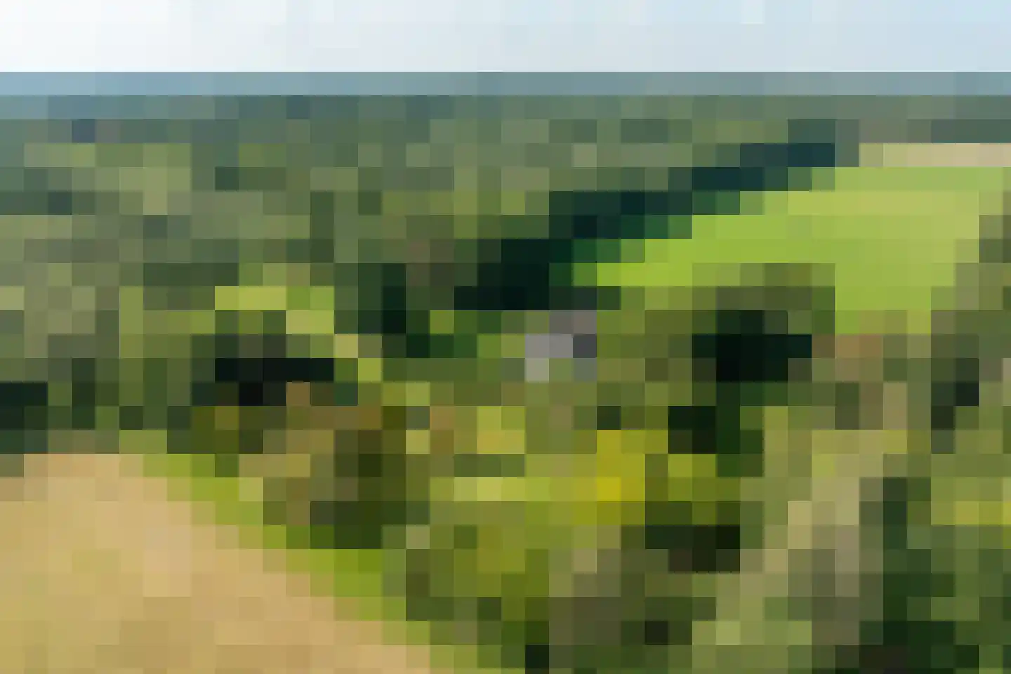 Dorperveldweg 6 Epe thumbnail 39