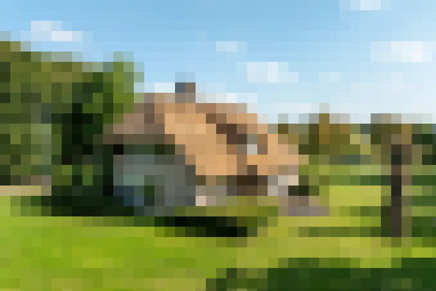 Dorperveldweg 6 Epe thumbnail 4