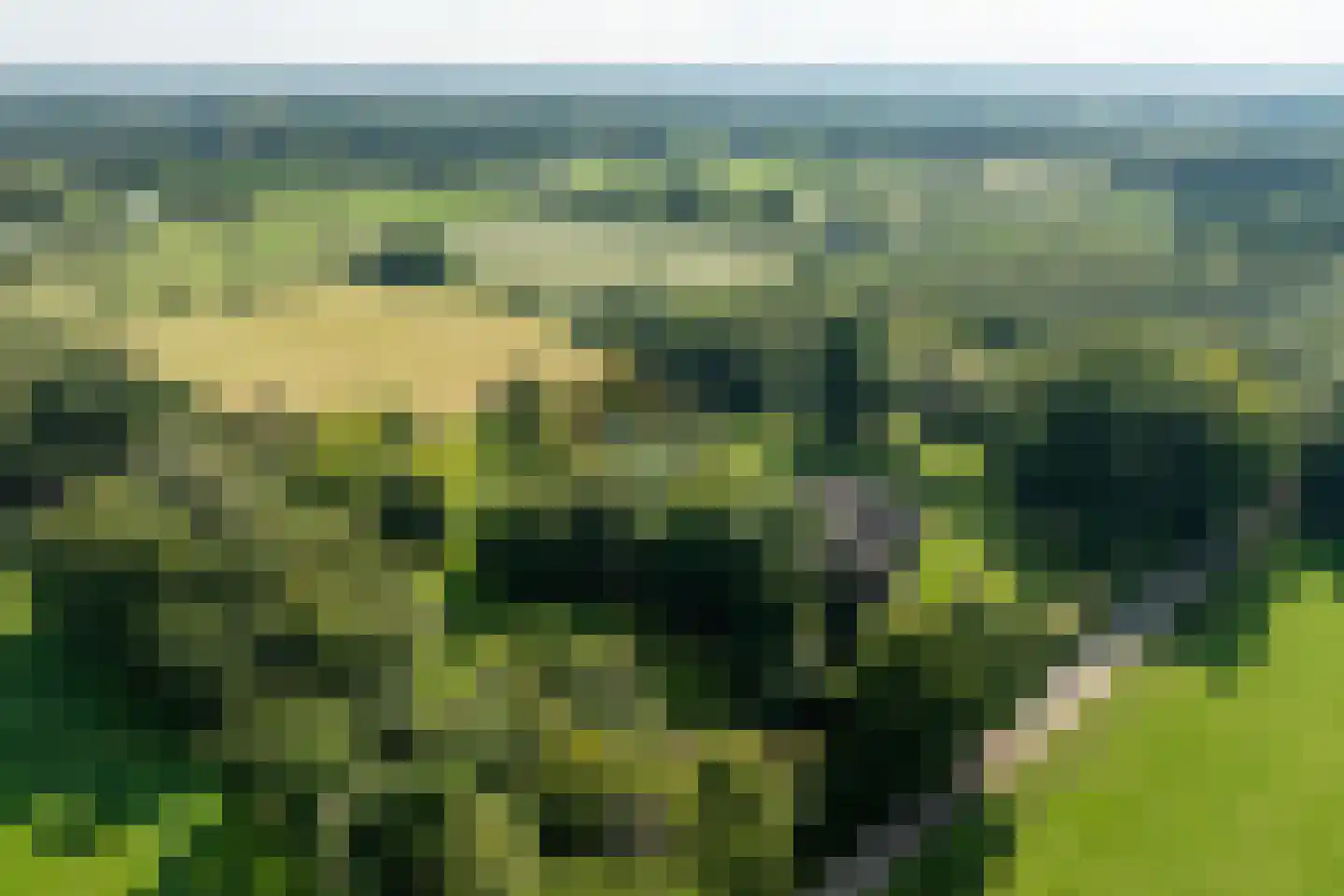 Dorperveldweg 6 Epe thumbnail 40