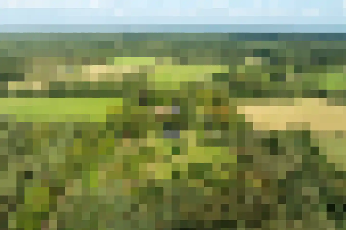 Dorperveldweg 6 Epe thumbnail 41