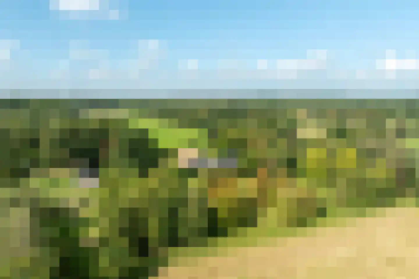 Dorperveldweg 6 Epe thumbnail 5