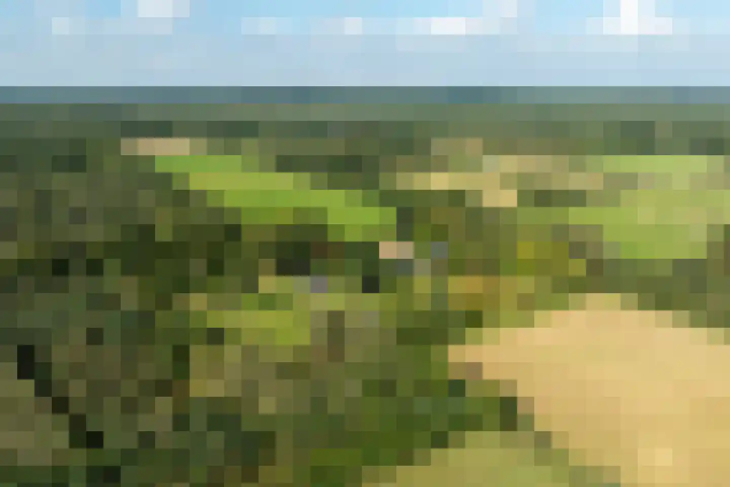 Dorperveldweg 6 Epe thumbnail 6