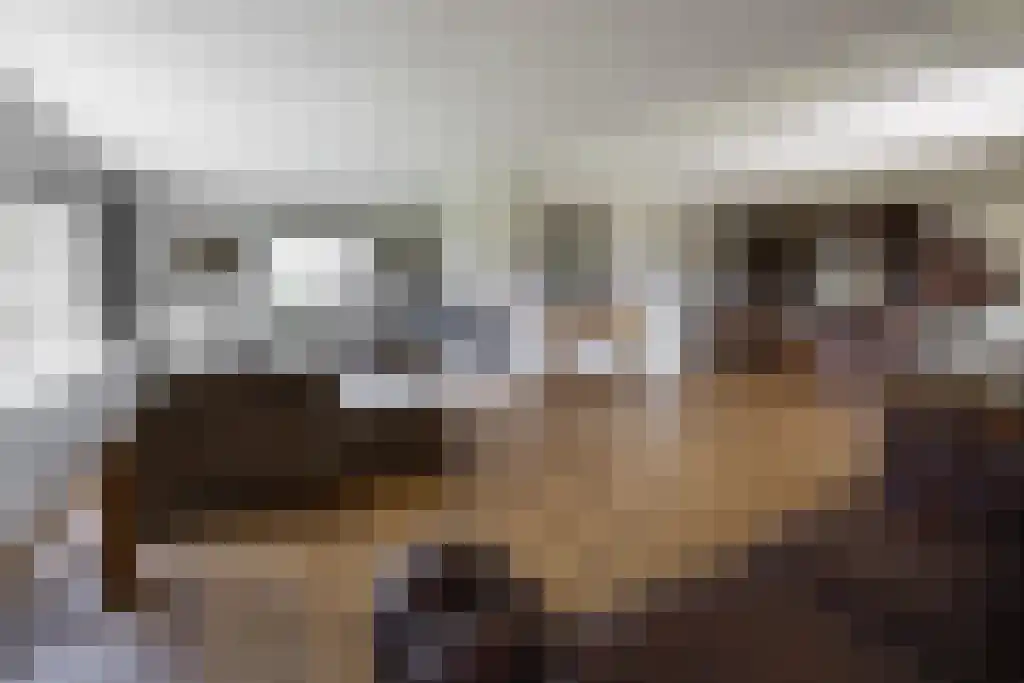 Dorperveldweg 6 Epe thumbnail 9