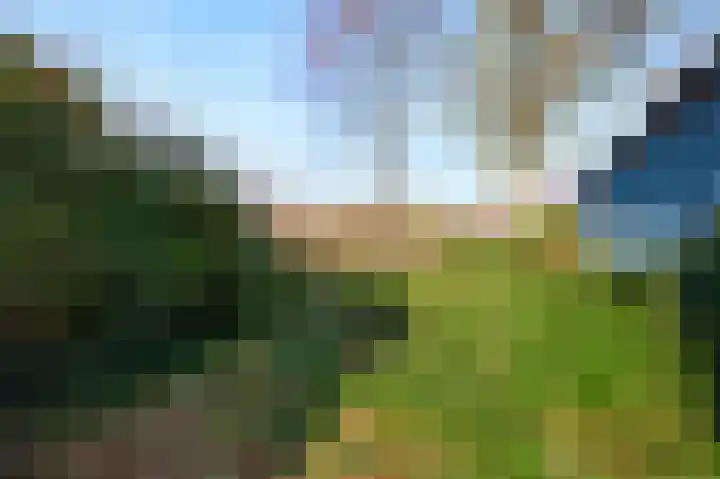 Dorperweiden 37 Sevenum thumbnail 4