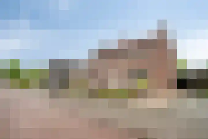 Dorperweiden 74 Sevenum thumbnail 6