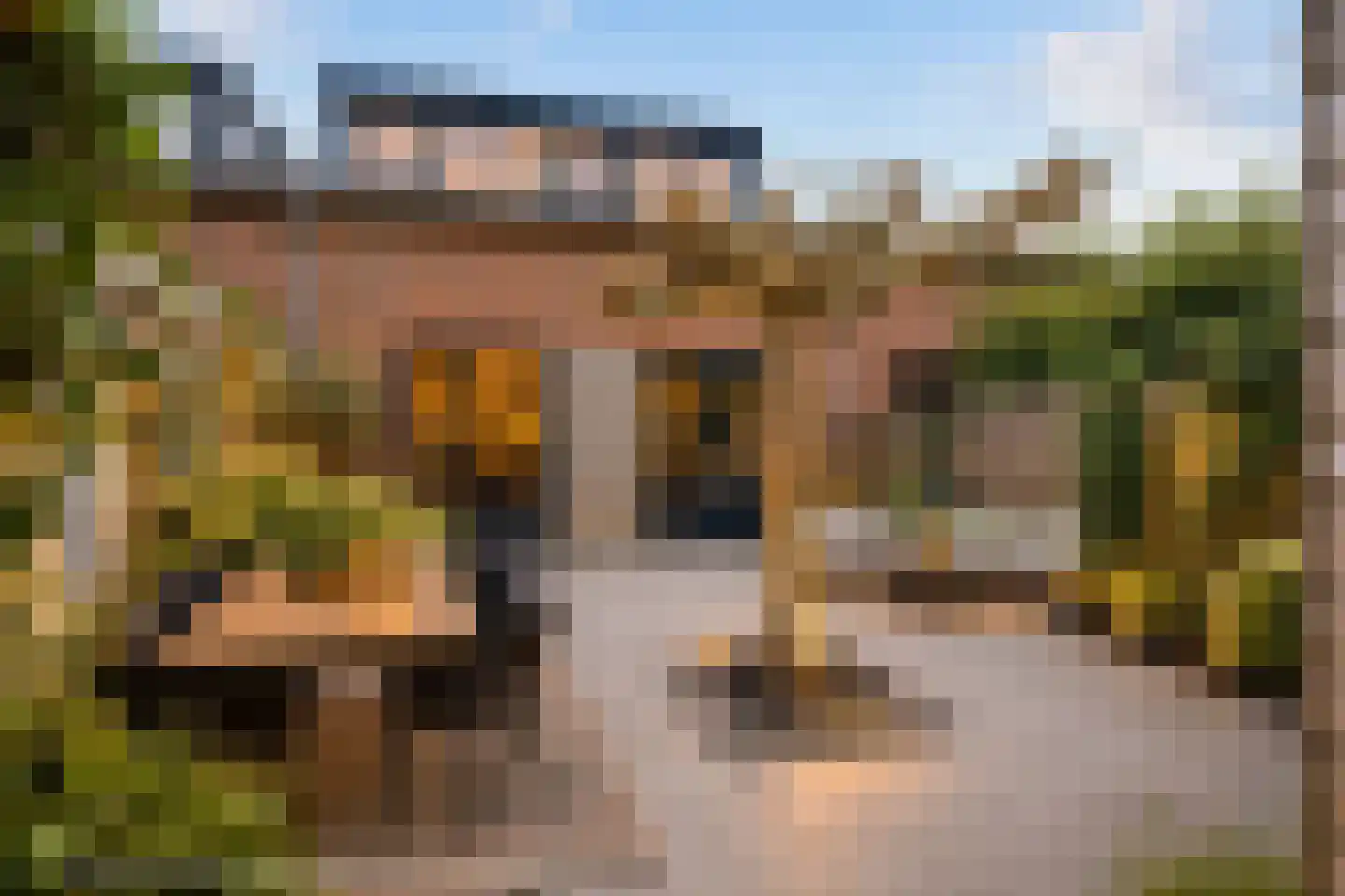 Dorprichterstraat 23 Oosterwolde thumbnail 43
