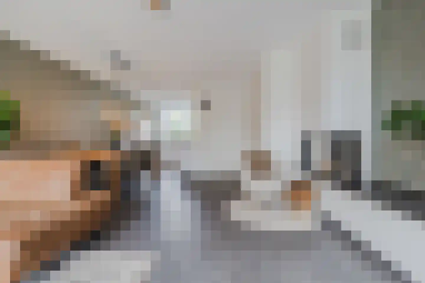 Dorpsakkers 20 Soerendonk thumbnail 17