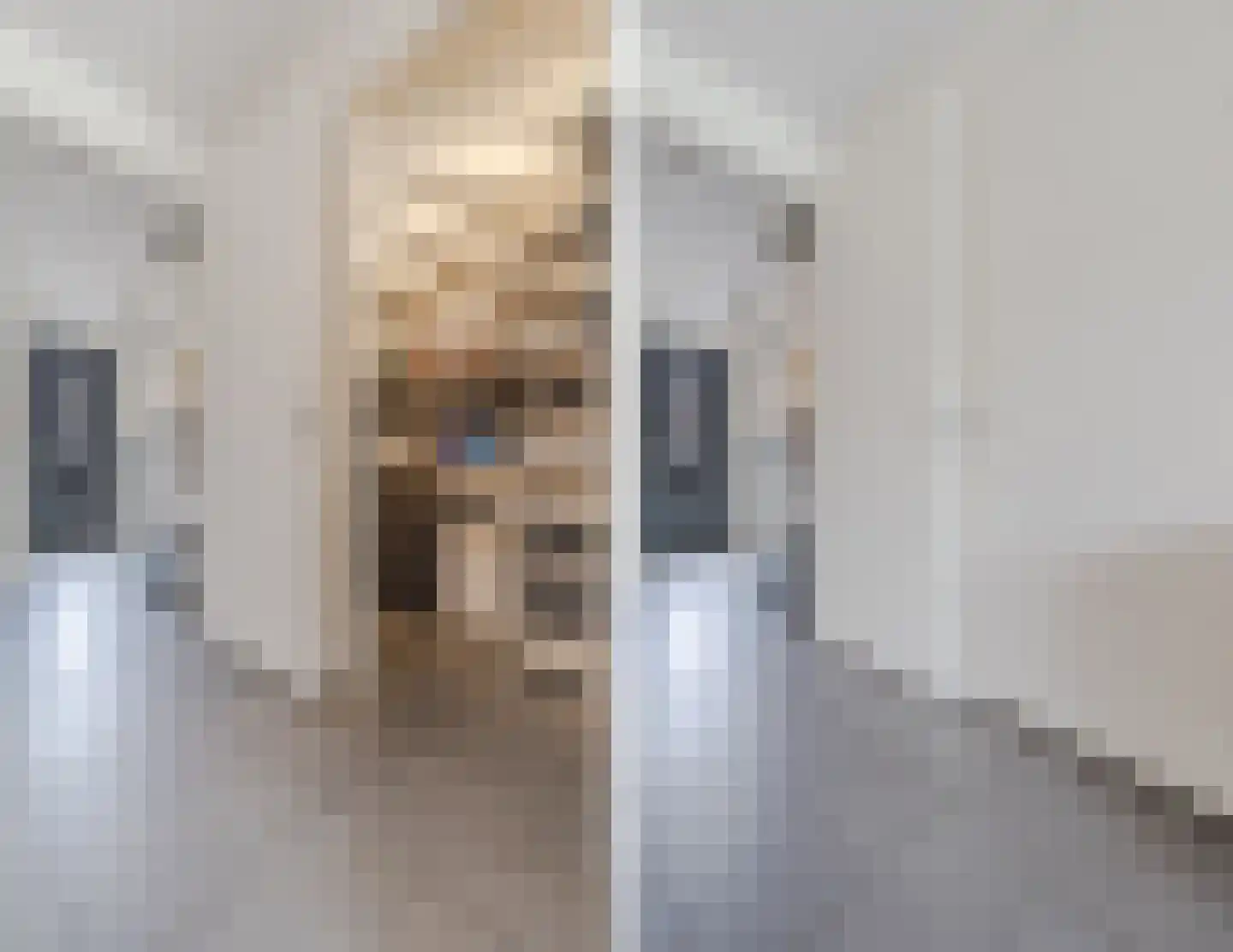 Dorpsakkers 20 Soerendonk thumbnail 27