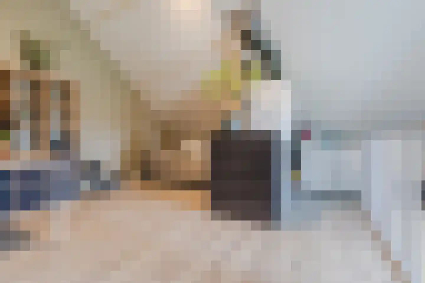 Dorpsakkers 20 Soerendonk thumbnail 38
