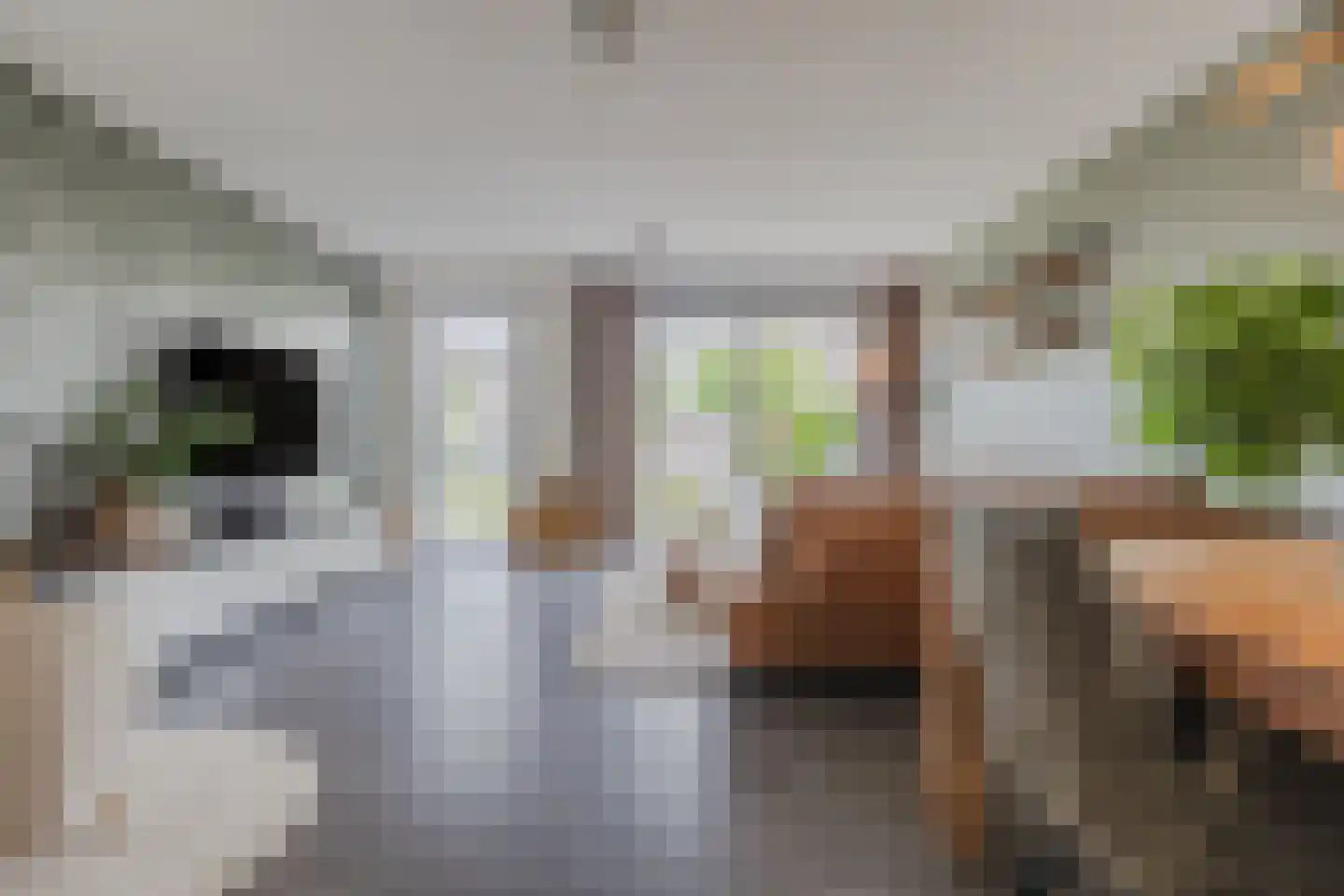 Dorpsakkers 20 Soerendonk thumbnail 4