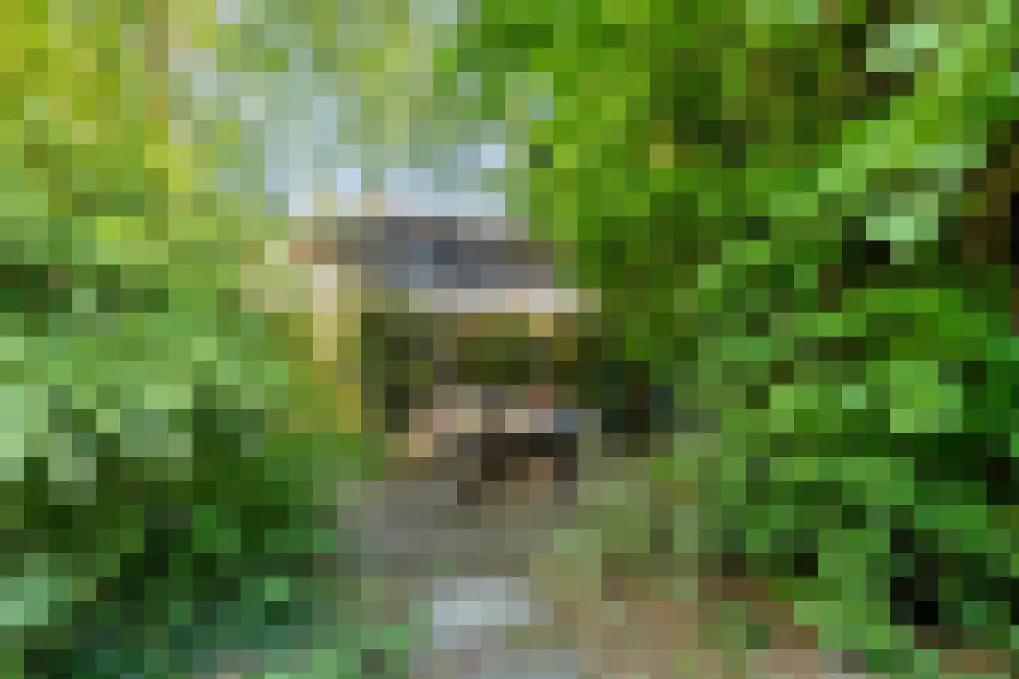 Dorpsdijk 178 Rhoon thumbnail 11