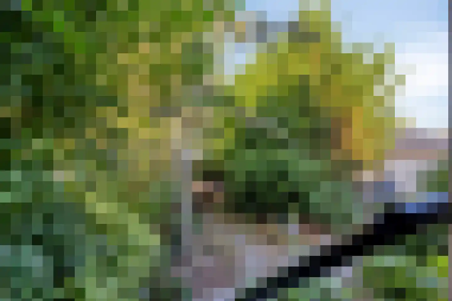 Dorpsdijk 178 Rhoon thumbnail 32