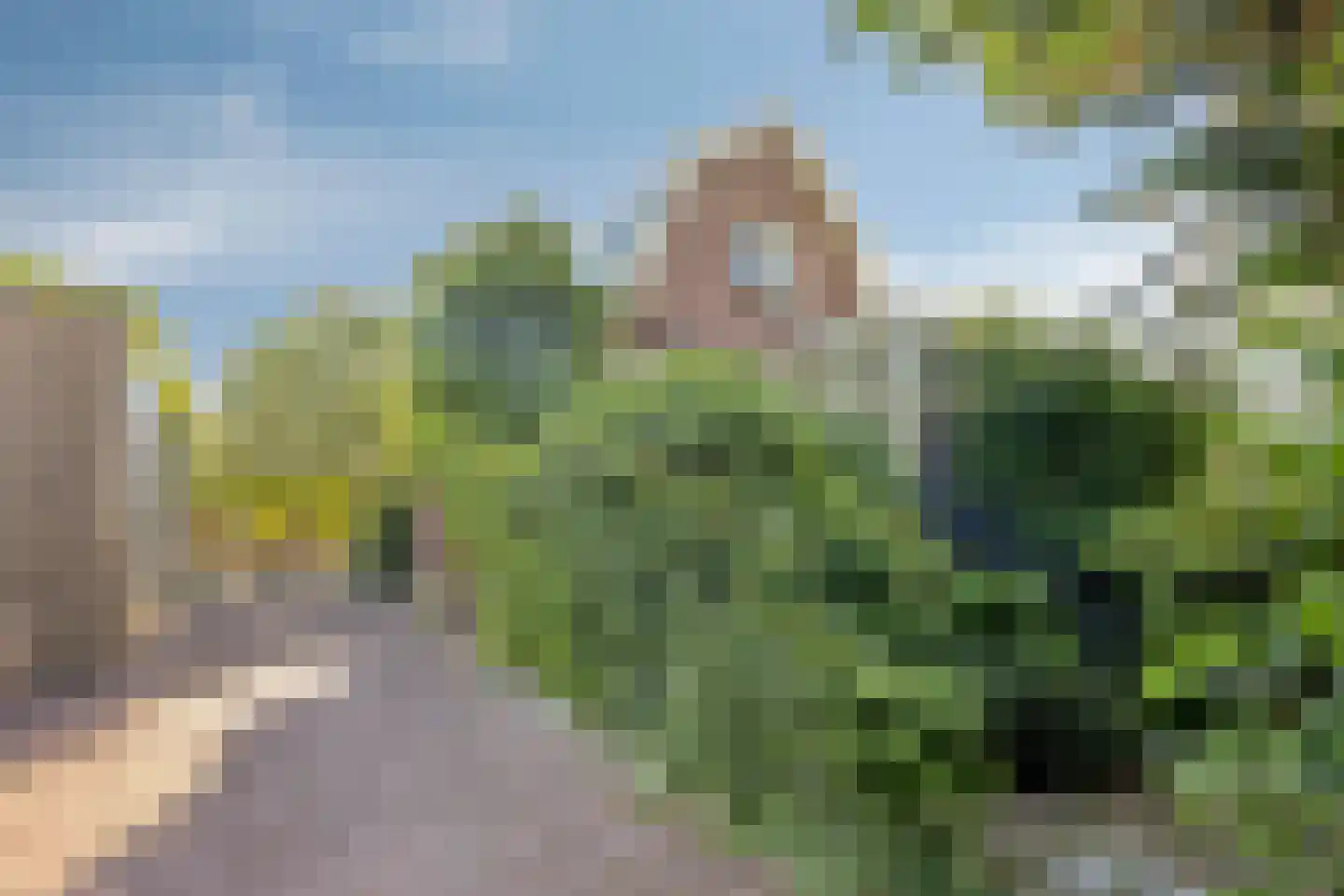 Dorpsdijk 178 Rhoon thumbnail 33