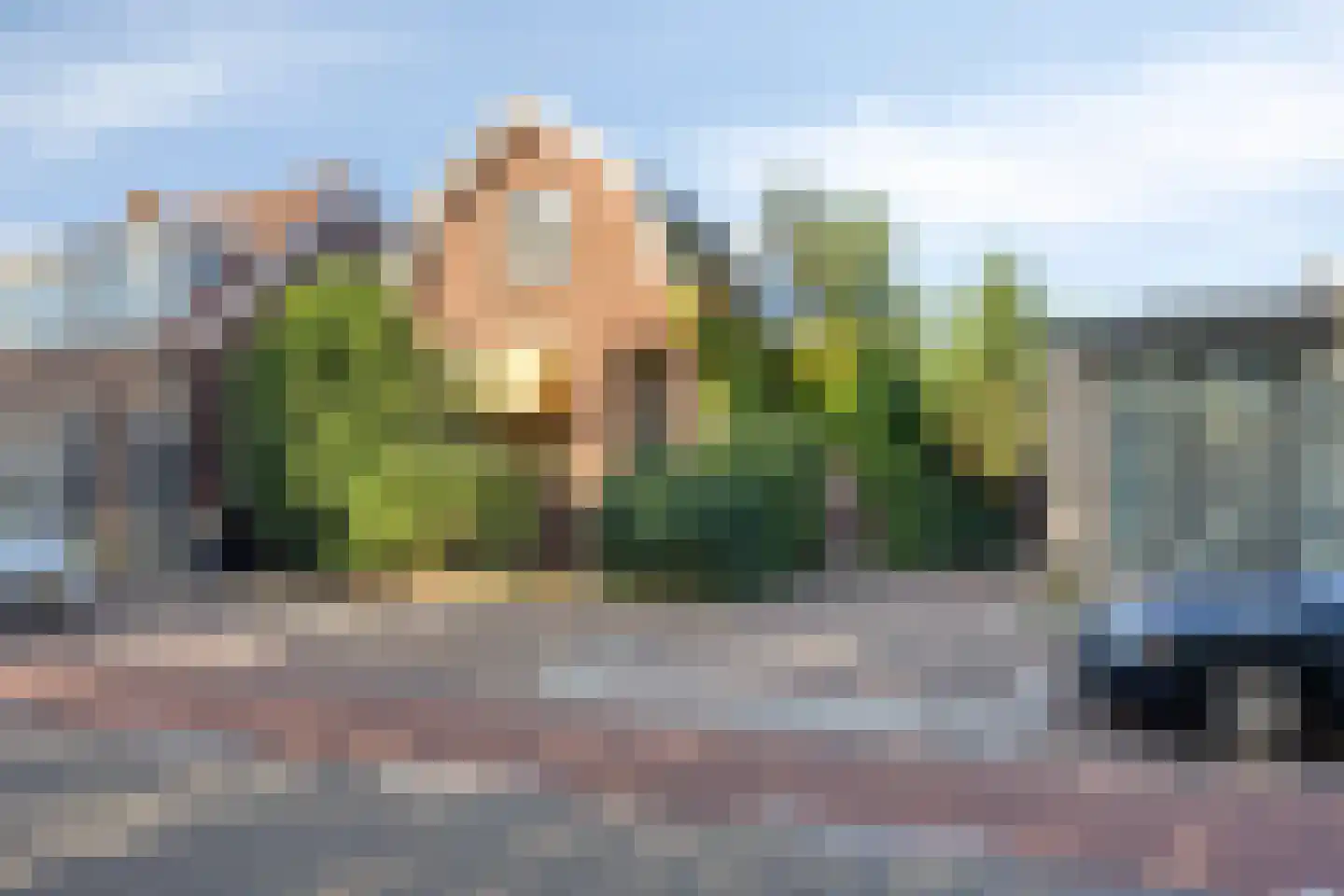 Dorpsdijk 178 Rhoon thumbnail 4