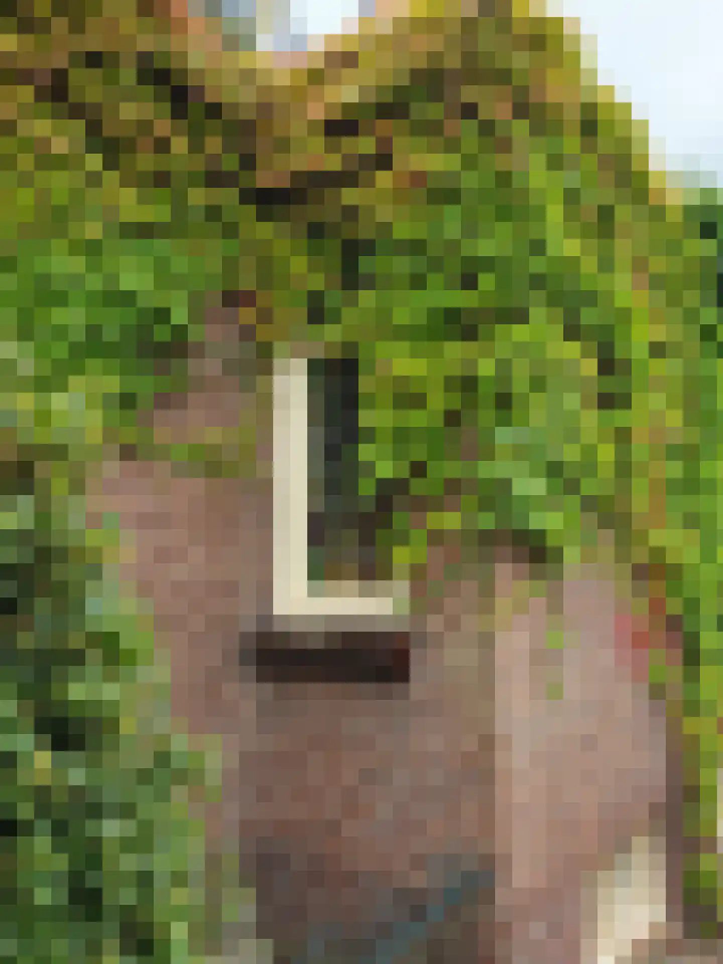 Dorpsdijk 178 Rhoon thumbnail 5