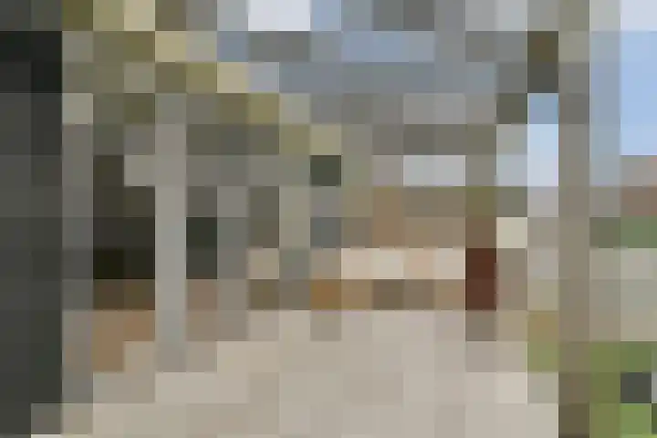 Dorpsdijk 180 Rhoon thumbnail 18
