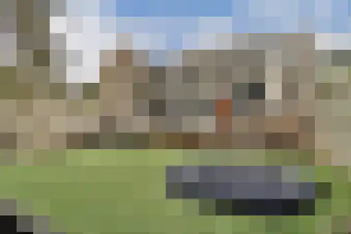 Dorpsdijk 180 Rhoon thumbnail 23