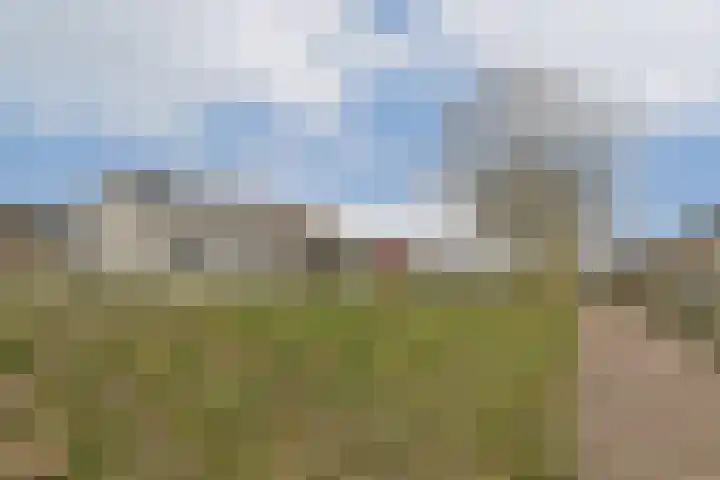 Dorpsdijk 180 Rhoon thumbnail 37