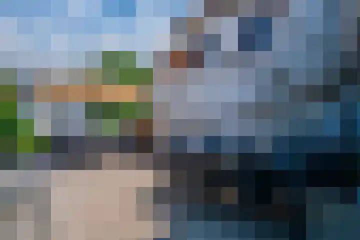 Dorpsdijk 19 Lobith thumbnail 22