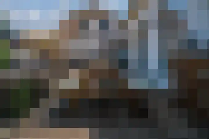Dorpsdijk 19 Lobith thumbnail 24
