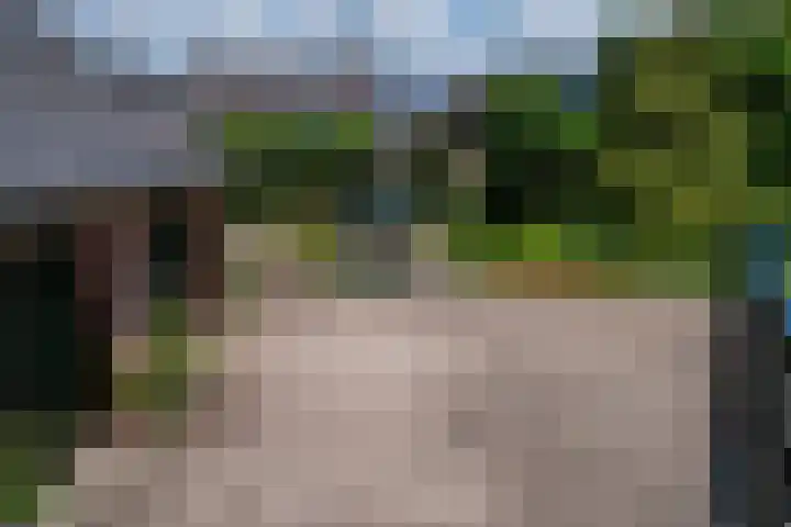 Dorpsdijk 19 Lobith thumbnail 26