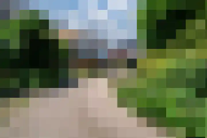 Dorpsdijk 19 Lobith thumbnail 30