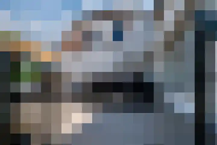 Dorpsdijk 19 Lobith thumbnail 37