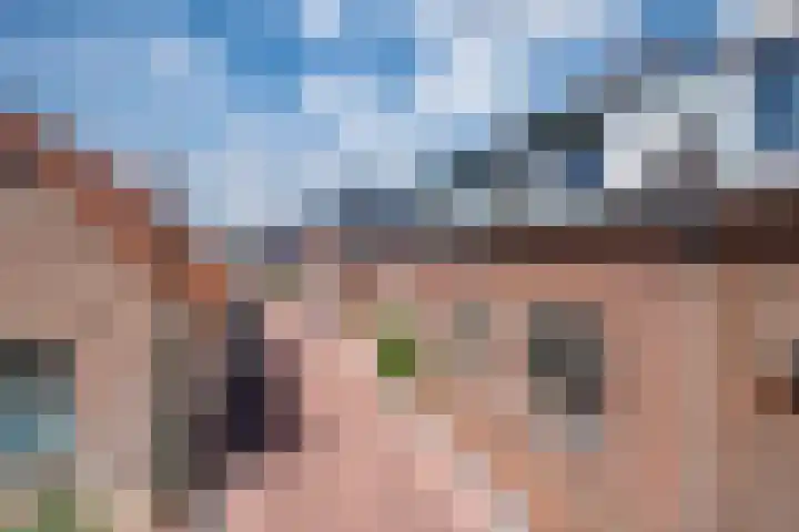 Dorpsdijk 19 Lobith thumbnail 5