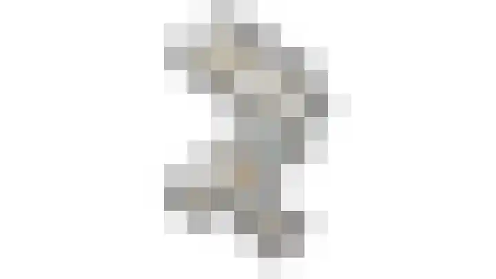 Dorpsdijk 19 Lobith thumbnail 63