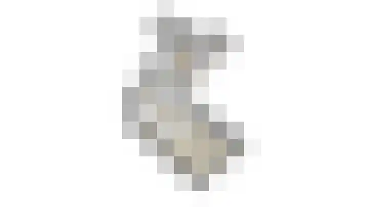 Dorpsdijk 19 Lobith thumbnail 64
