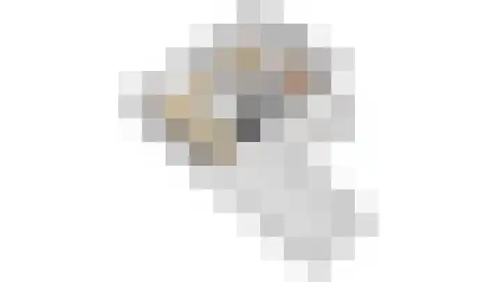 Dorpsdijk 19 Lobith thumbnail 67