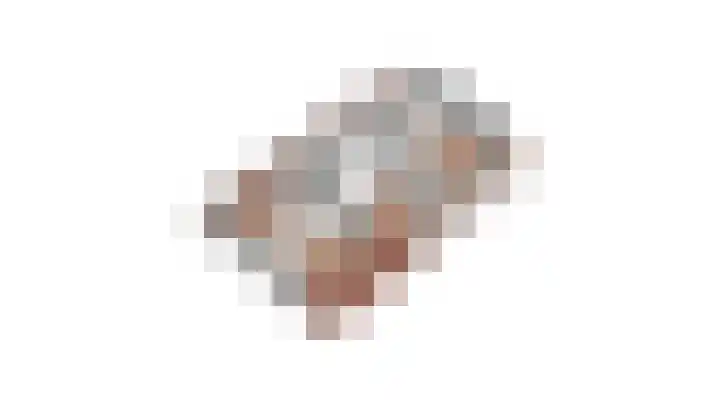 Dorpsdijk 19 Lobith thumbnail 69