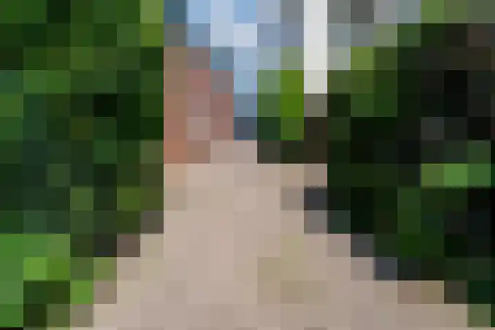 Dorpsdijk 19 Lobith thumbnail 7