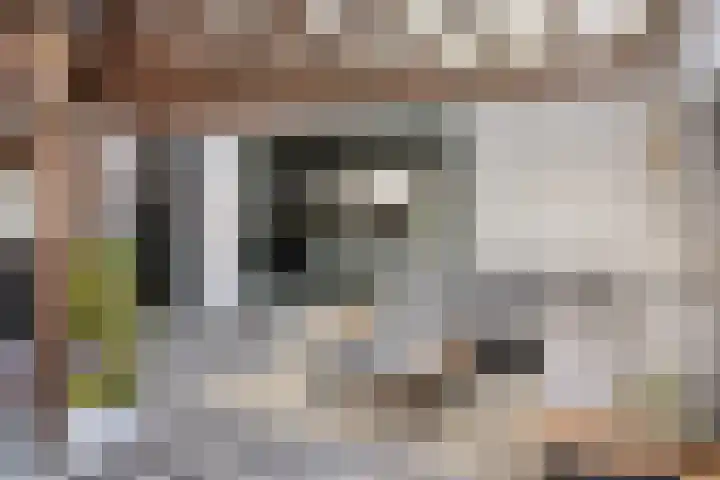 Dorpsdijk 197 Rhoon thumbnail 33