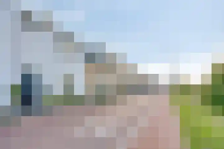 Dorpsdijk 197 Rhoon thumbnail 42