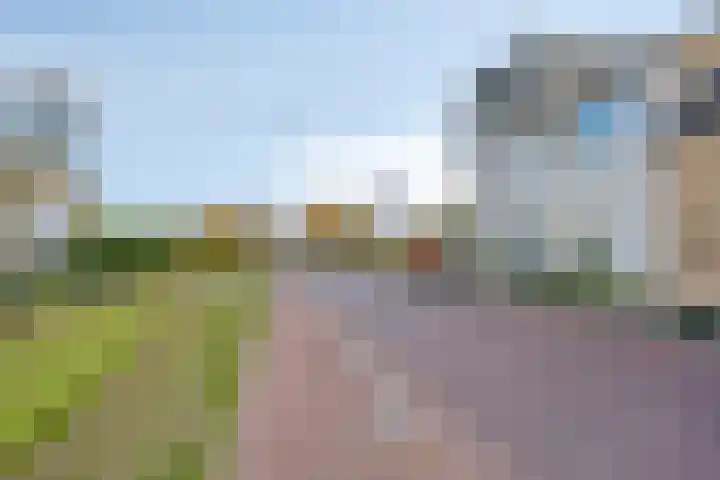 Dorpsdijk 197 Rhoon thumbnail 43