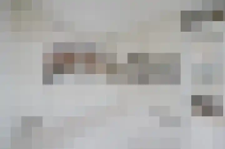 Dorpsdijk 200 Rhoon thumbnail 15