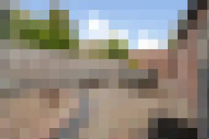 Dorpsdijk 200 Rhoon thumbnail 19