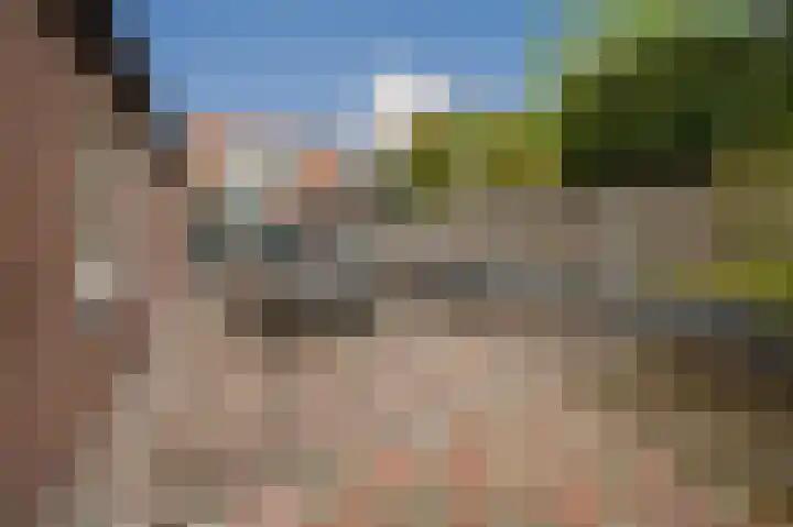 Dorpsdijk 200 Rhoon thumbnail 20