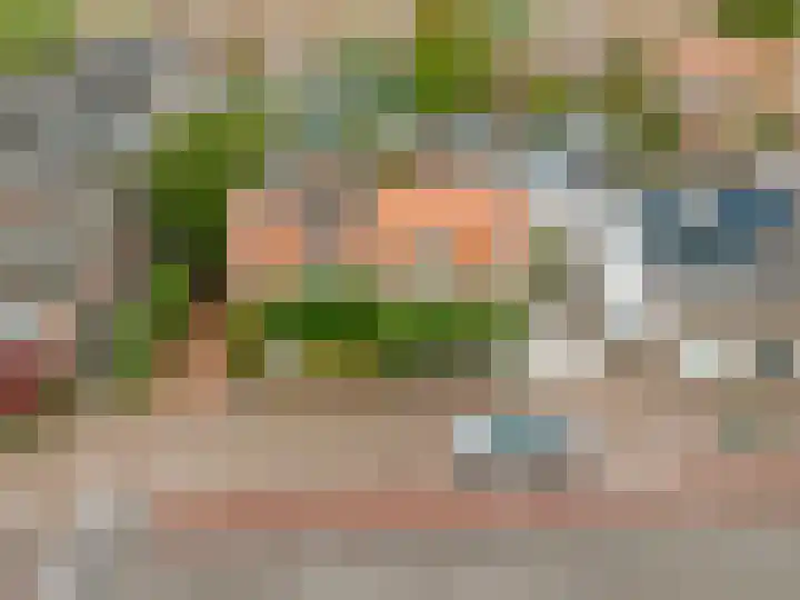 Dorpsdijk 200 Rhoon thumbnail 6