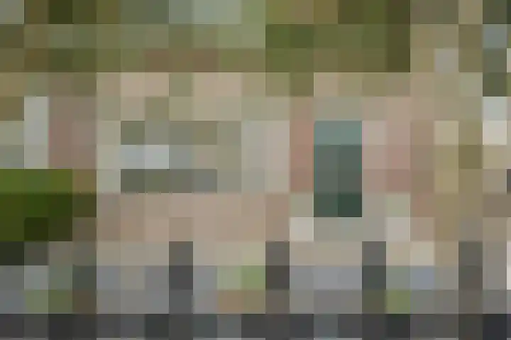 Dorpsdijk 200 Rhoon thumbnail 8