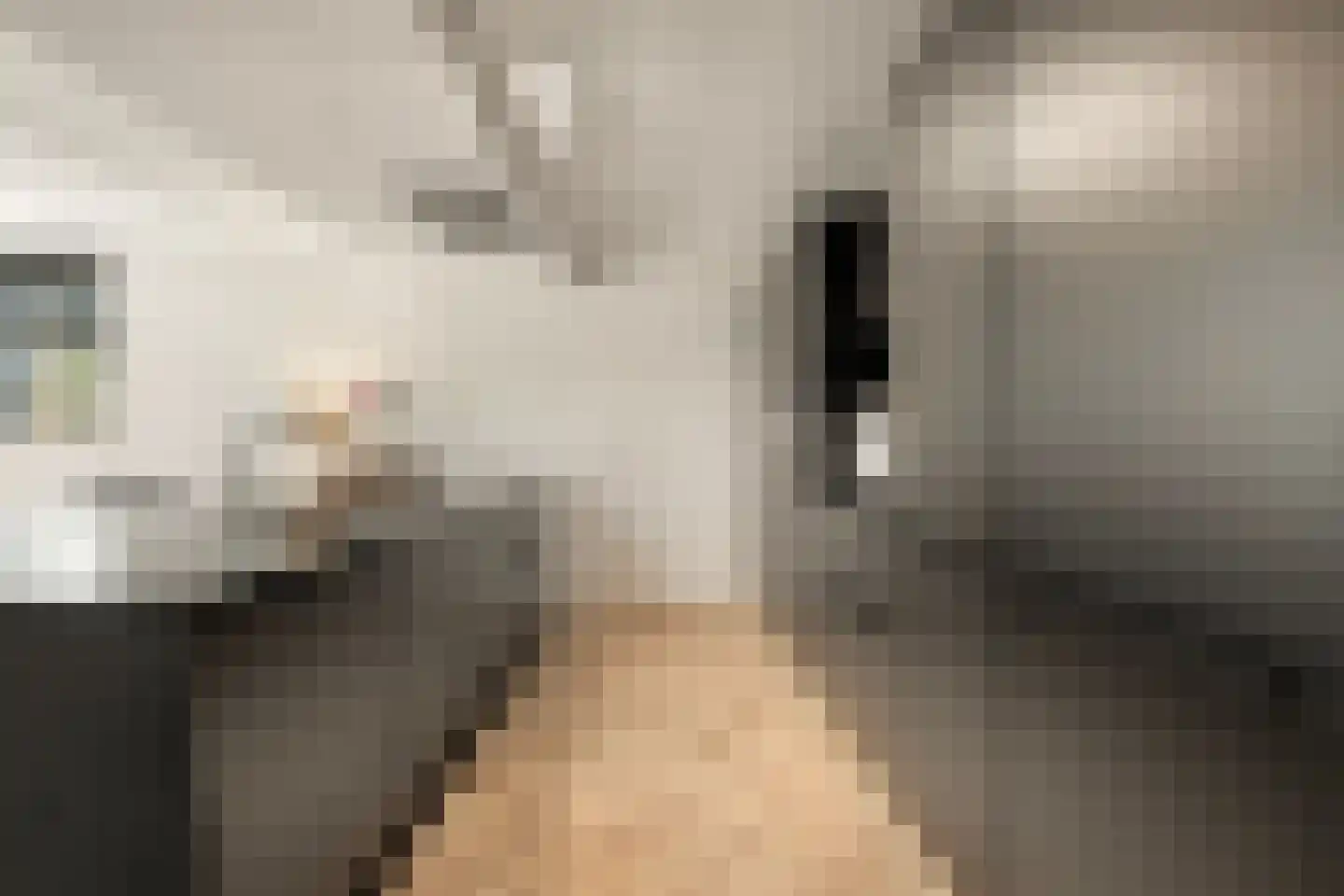 Dorpsdijk 211 c Rhoon thumbnail 12
