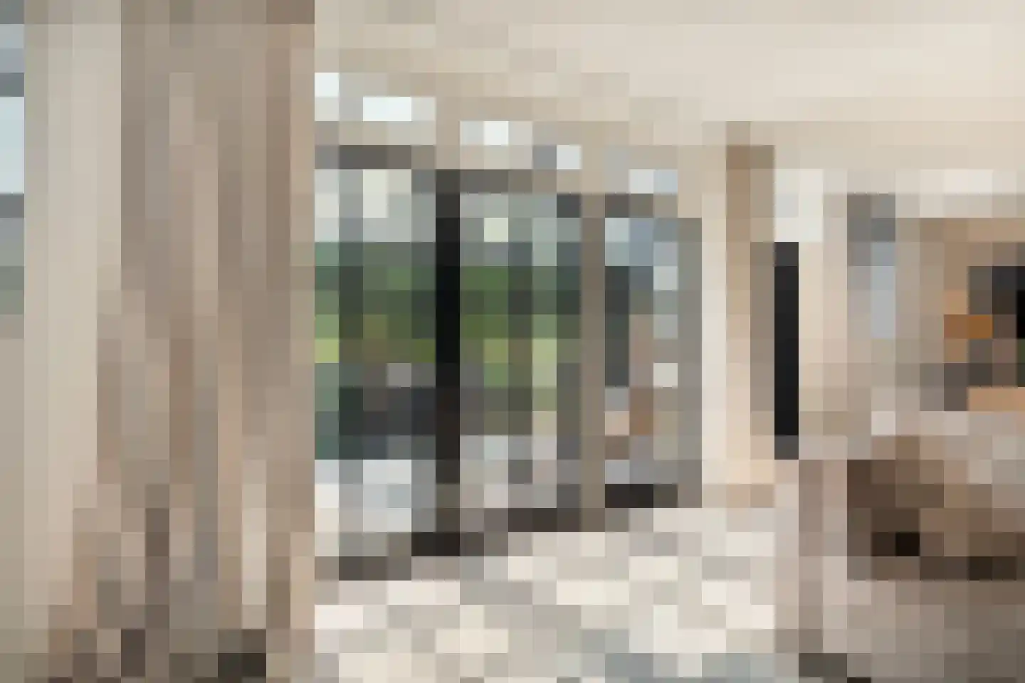 Dorpsdijk 211 c Rhoon thumbnail 22