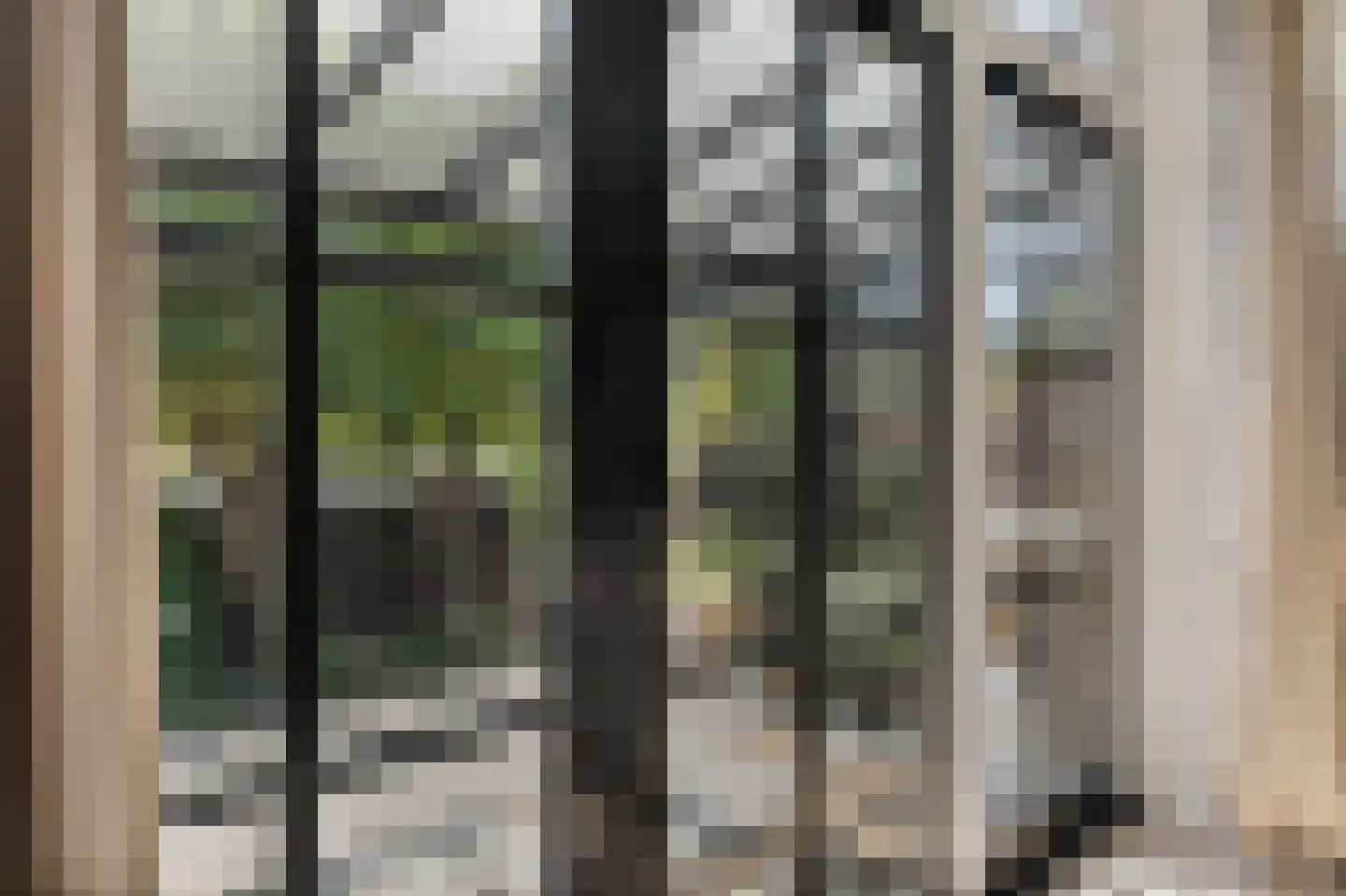 Dorpsdijk 211 c Rhoon thumbnail 23