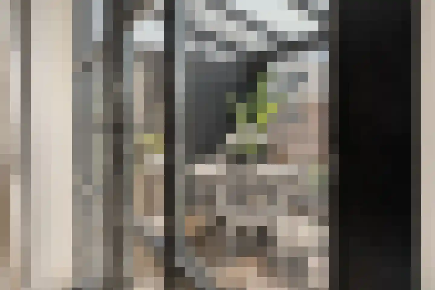 Dorpsdijk 211 c Rhoon thumbnail 24