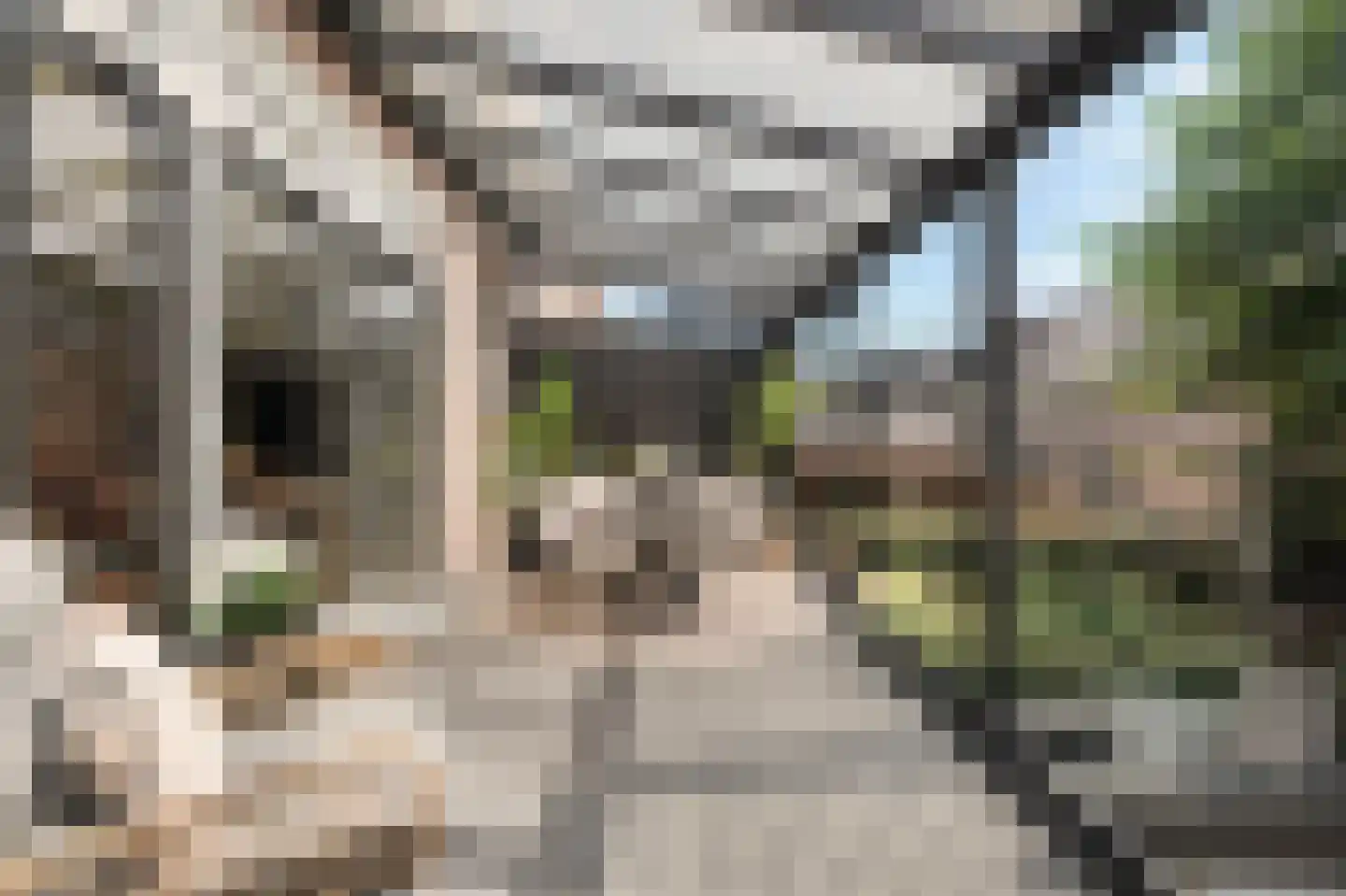 Dorpsdijk 211 c Rhoon thumbnail 25