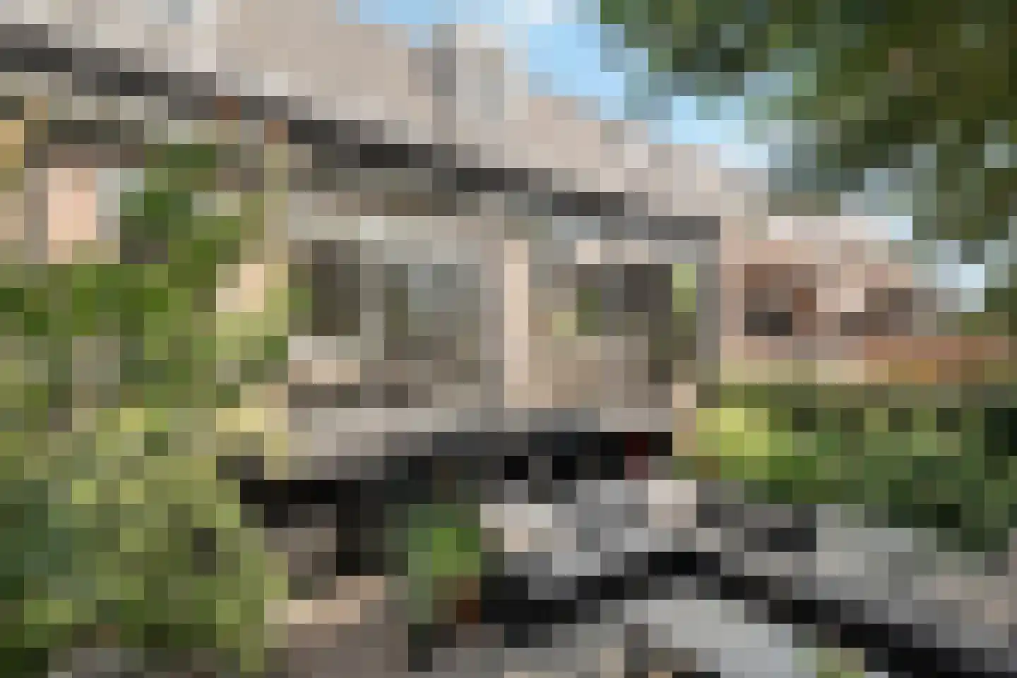 Dorpsdijk 211 c Rhoon thumbnail 27
