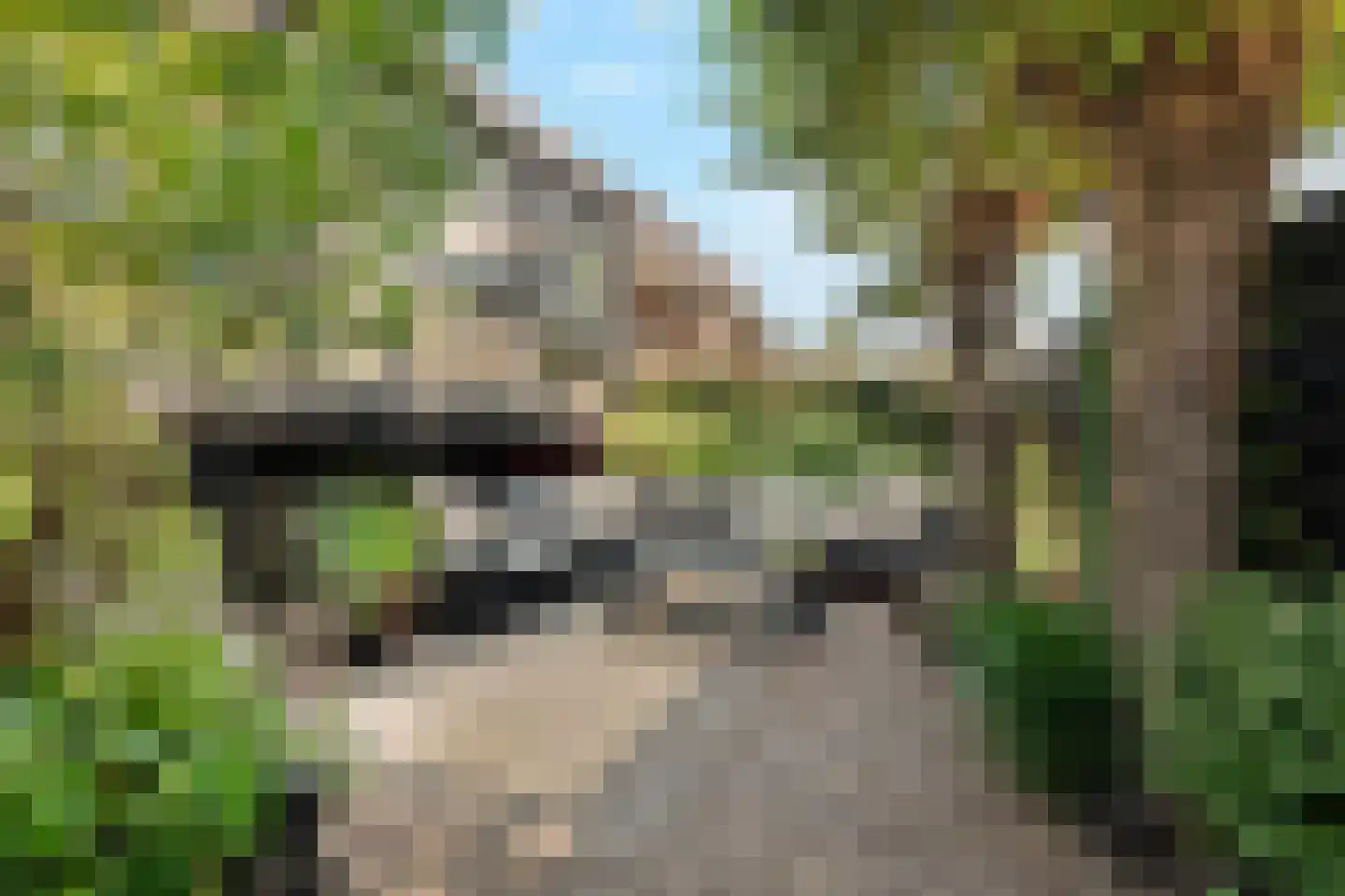 Dorpsdijk 211 c Rhoon thumbnail 28