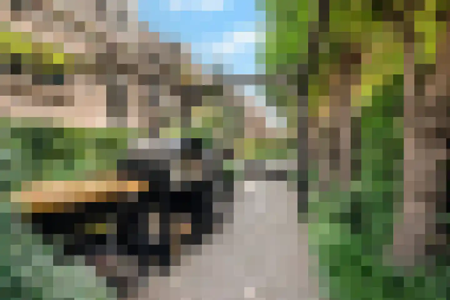 Dorpsdijk 211 c Rhoon thumbnail 29