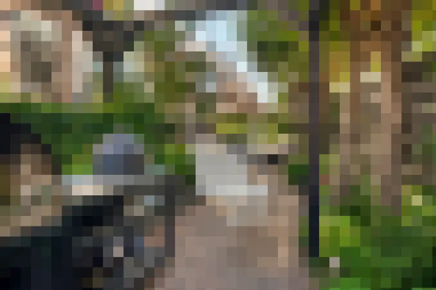 Dorpsdijk 211 c Rhoon thumbnail 30